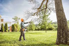 Best Tree and Shrub Care  in Richland, PA